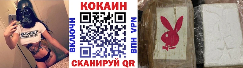 COCAIN Fish Scale  Оса 