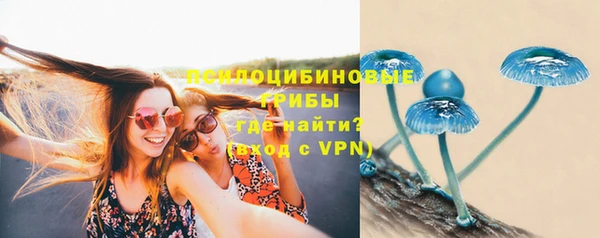сатива Армянск